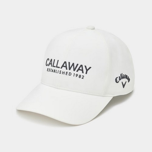 Ķ������ ������ �߼� ĸ