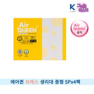  에어퀸 브레스 중형 5개 [4팩(20개)]