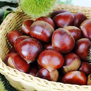 푸드마인 24년 햇 공주 정안밤 알밤 대품 2kg 농가직송
