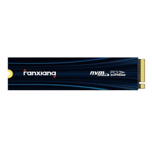 Fanxiang S880E M.2 NVMe 해외구매 (500GB)