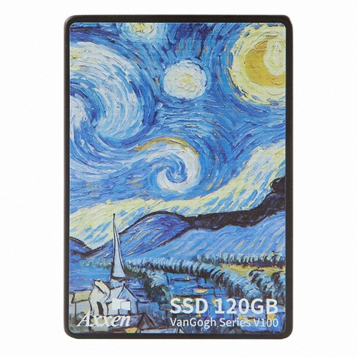 Axxen V100 Van Gogh Series (120GB)_이미지