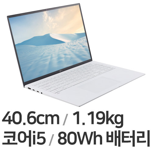 LG전자 2021 그램16 16ZD90P-GX5TK (SSD 256GB)_이미지
