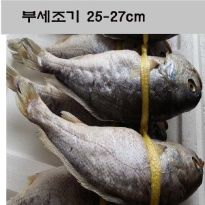 조기부세조기.반건조부세조기1마리30~31cm_이미지