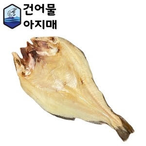 �Ǿ������ ������ �Ǿ ��뱸�� �뱸��