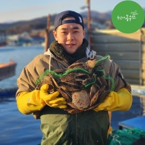 최고다농수산 싱싱한 참가리비/ 수입산 참가리비 대 8-11미 1kg