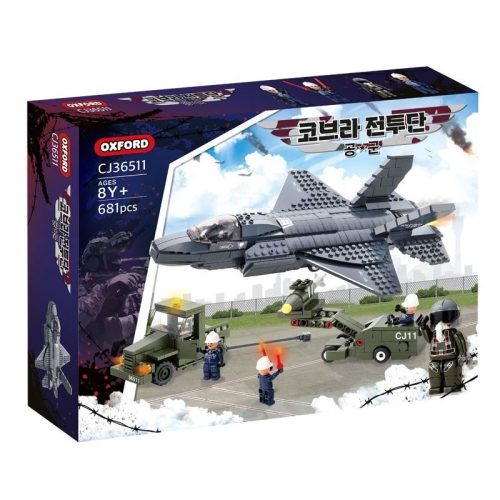 �������� �ں�� ������ ���� (CJ36511)