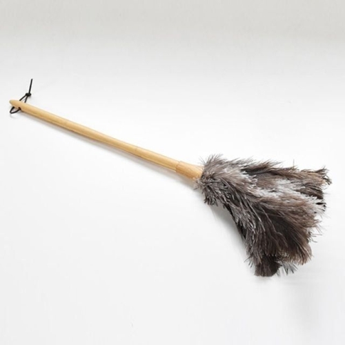 [불명] 타조털 먼지털이개이미지입니다. 누르면 해당 게시물로 새창이동합니다.