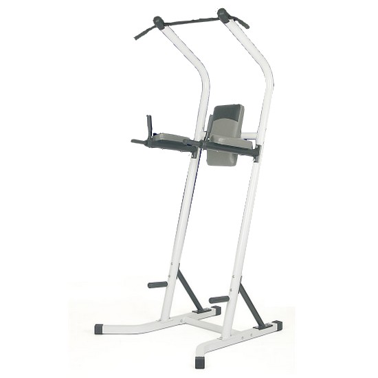태림스포츠 준클럽용 파워타워 치닝디핑 SJ-600