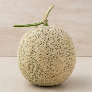 머스크 멜론 1.6kg 1개