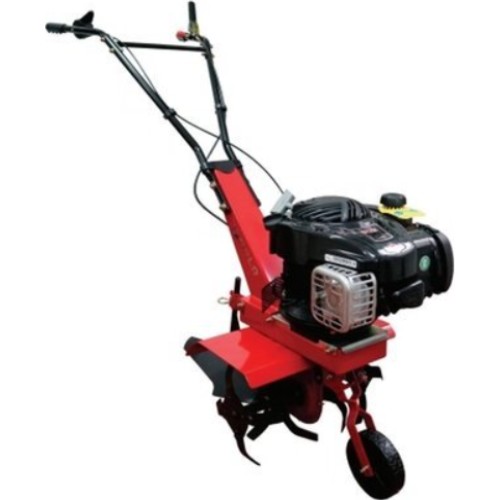 ���� ������ W40