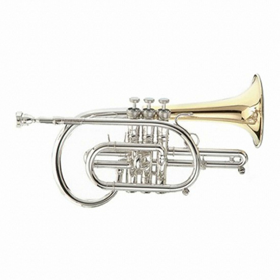 ����� Master Cornet 5881