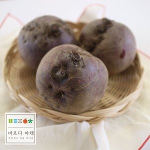  바르다야채 레드 비트 국내산 10kg