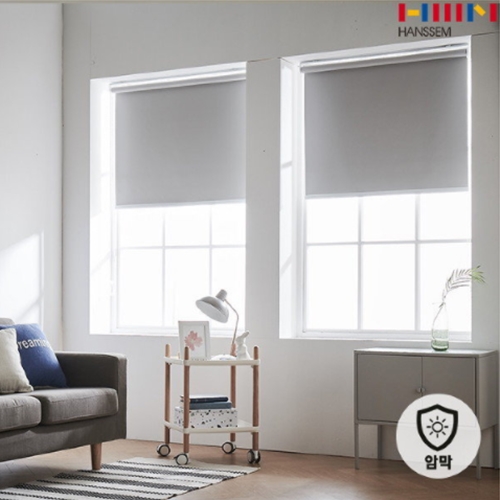 BASIC 암막 롤스크린