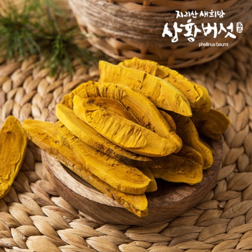 지리산 새희망 상황버섯 무농약 지리산 상황버섯 실속 특품 400g
