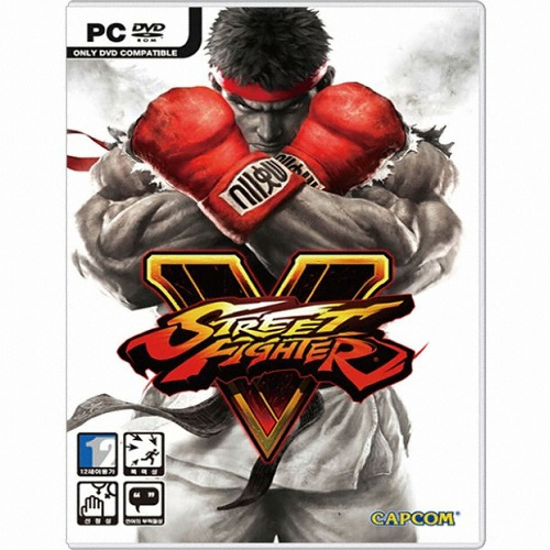 캡콤 스트리트 파이터 V PC (한글판)