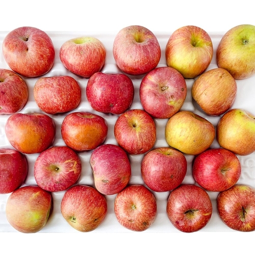 경북 못난이 햇사과 가정용 부사 30~65입 10kg