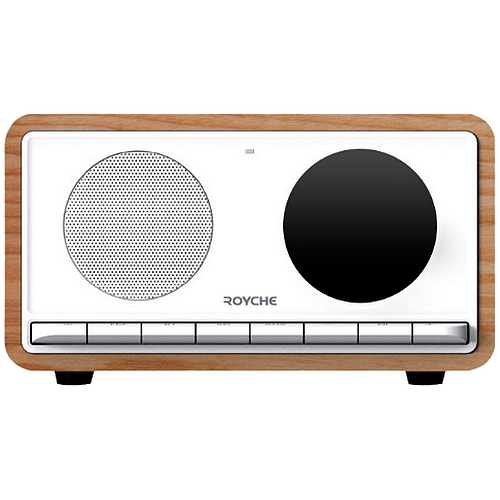 ����ü BTS-620WC