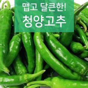 맵고 달큰한 청양고추 3kg