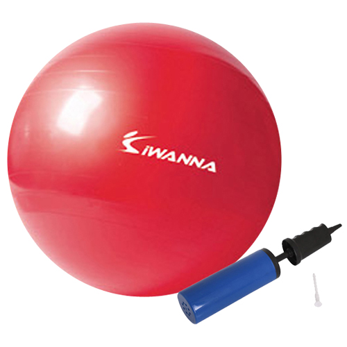 iWANNA 다이어트 짐볼