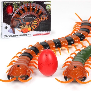 �ݵ� ���� Scolopendra RCī / �����ڵ��� �κ� ���� �н�