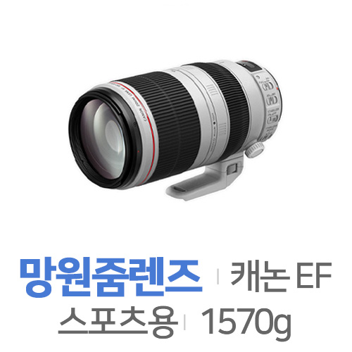 캐논 EF 100-400mm F4.5-5.6 L IS II USM