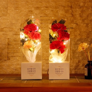 [불명] 아침향기 반딧불 카네이션