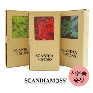 스마일컴퍼니 스칸디아모스 천연이끼 공기정화 특별사은품증정_이미지