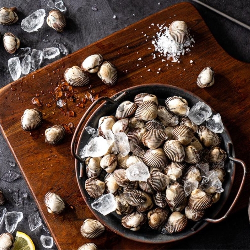 보성 산지직송 꼬막 1kg 대 75-85미 21mm 내외