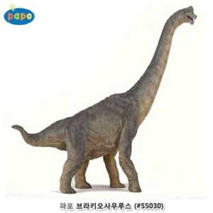 ���� ���Ű�����罺 (55030)