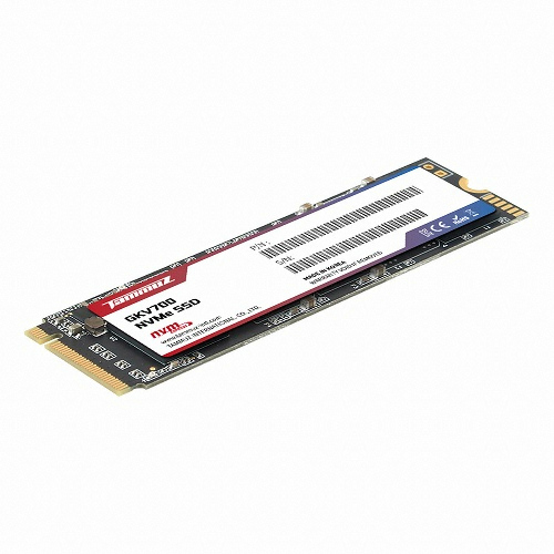 타무즈 GKV700 M.2 NVMe (512GB)_이미지