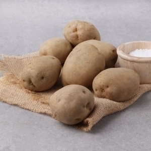 청솔유기농영농조합 친환경 감자 500g (1개)