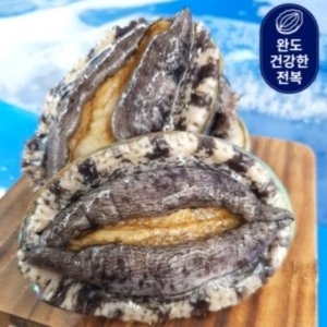 건강한전복 완도 활전복 6-7미 1kg