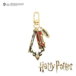 [불명] OST  해리포터  익스펙토 페트로눔 키링 OTKK20105QYD