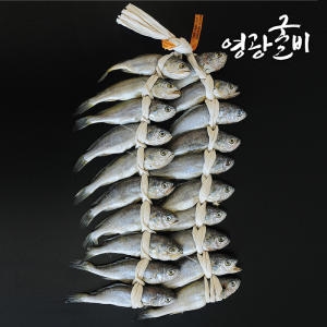 천보수산 영광 법성포 굴비 18~19cm 20미 1.6kg