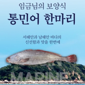 자연미가 국내산 통민어 한마리 /okjin 임금님진상 사계절 보양식_이미지
