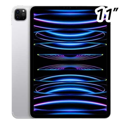 APPLE 2022 iPad Pro 11 Cellular 4세대 중고 (256GB)