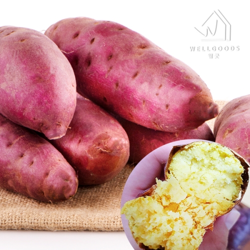 웰굿 퍽퍽한 스콘구마 25호 밤고구마 5kg 상중,개당100-250g