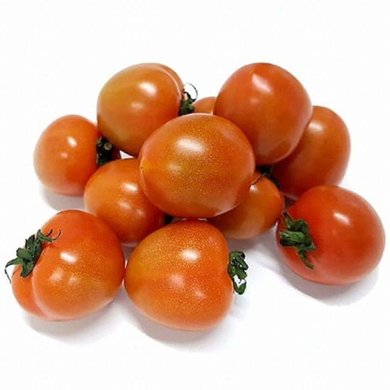 대한농산 고당도 캄파리 토망고 750g내외 (2개)