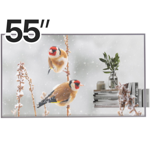 LG���� �÷��� 55EW5P