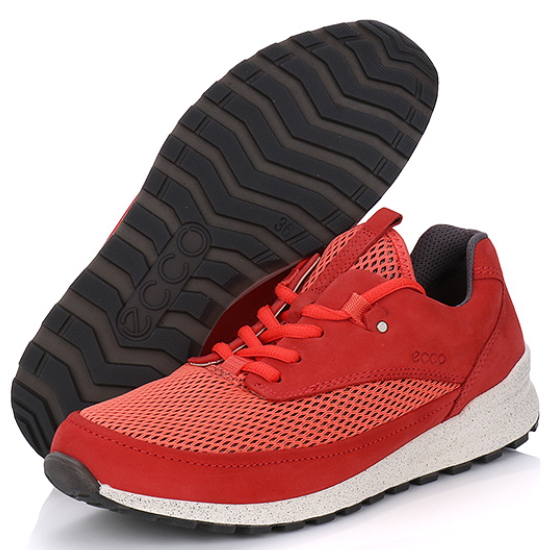 ECCO ������14 CS14 232143-59405