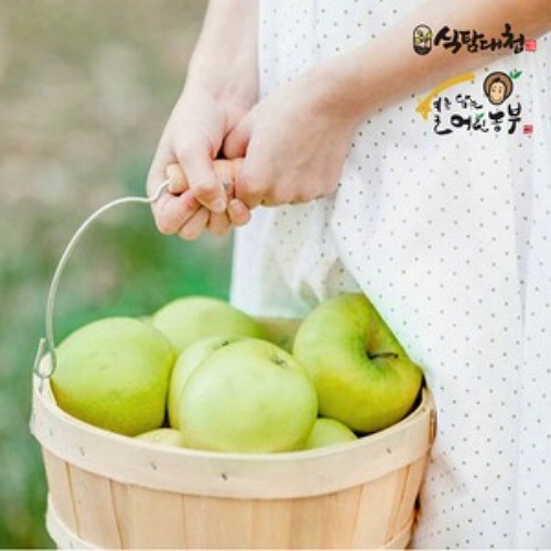 식탐대첩 경북 아오리사과 썸머킹 한입 11~13개(과)내 2kg (4개)