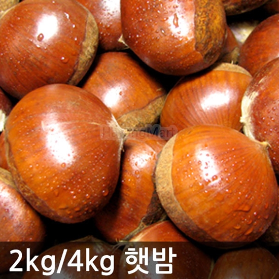공주부여 알밤 2kg