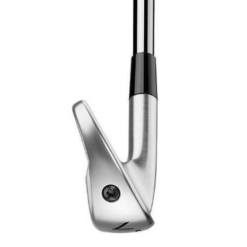 테일러메이드 2025 P790 여성용 아이언 카본 (정품 7개)_이미지