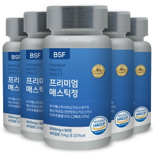 BSF 프리미엄 매스틱정 600mg 90정 (4개)_이미지