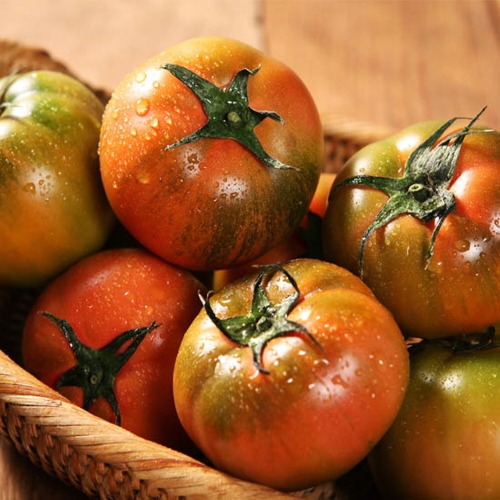 ���ѽ�Ź ���� ¬©�� �丶�� �ξ�� S-2S 2.5kg