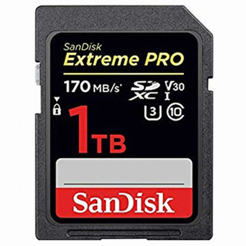 Sandisk SD Extreme Pro 2019 (1TB)_이미지