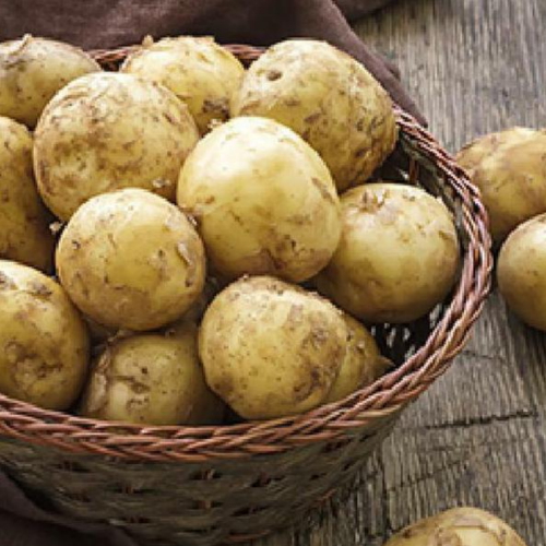 늘해랑 국내산 햇 감자 대 70~100g 5kg (1개)_이미지