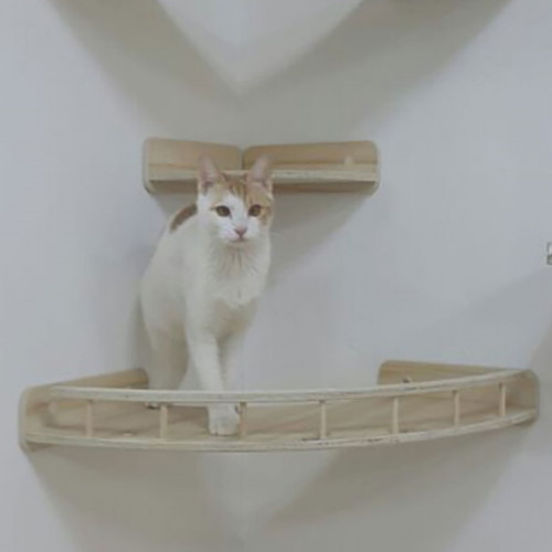 플레이캣 ㅤ벽 구석탱이 캣워커 2단_이미지