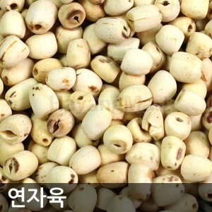 껍질깐 연자육  A급 거피연자육