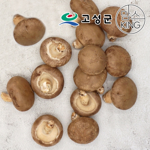 맘스킹 공룡나라 고성 웅이표고농장 생표고버섯 생표고/파지1kg_이미지